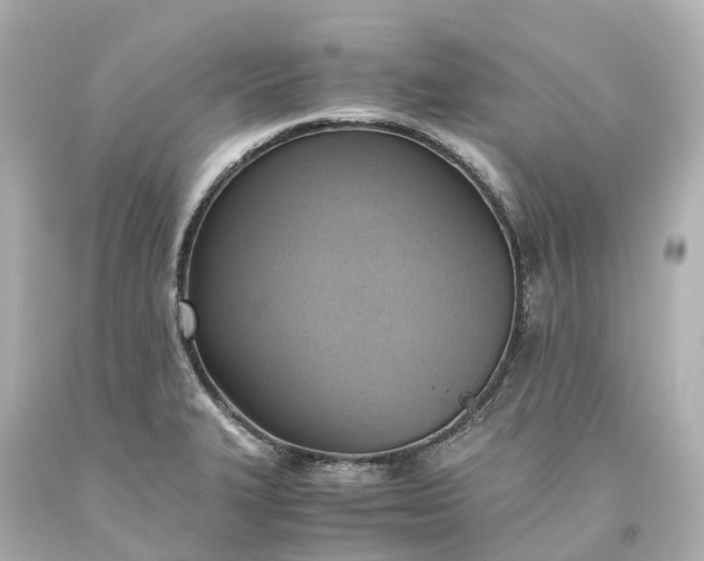 X0000093611327200710291157