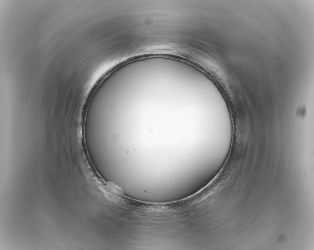 X0000093611328200710291157