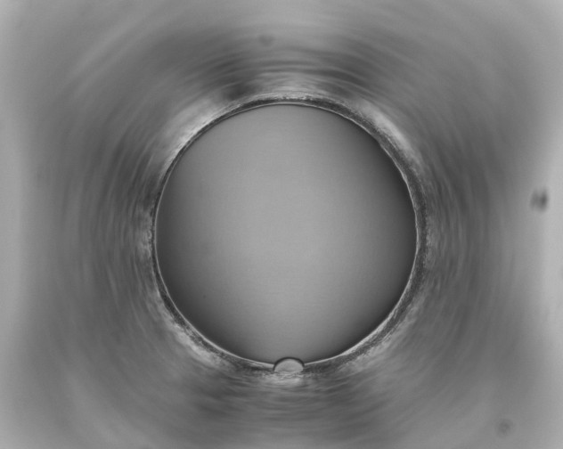 X0000093611329200710291157