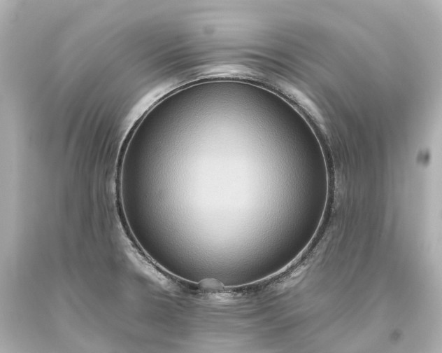 X0000093611330200710291157
