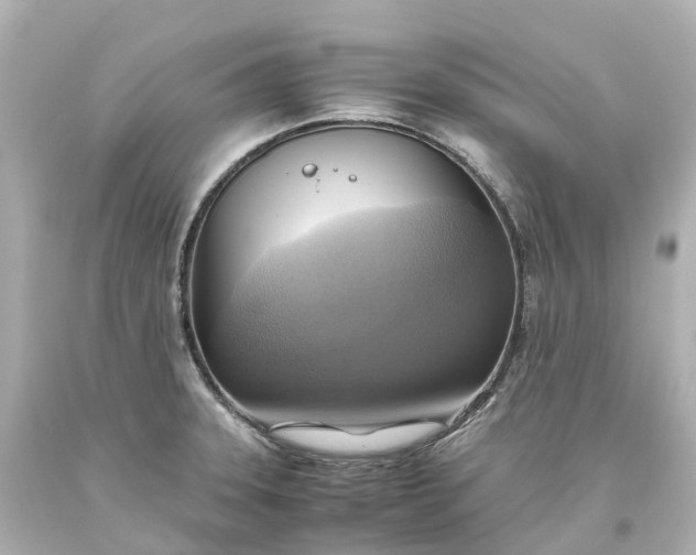 X0000093611331200710291157