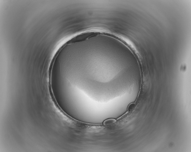 X0000093611335200710291157