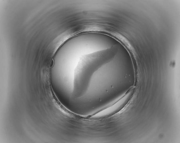 X0000093611337200710291157