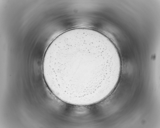 X0000093611338200710291157