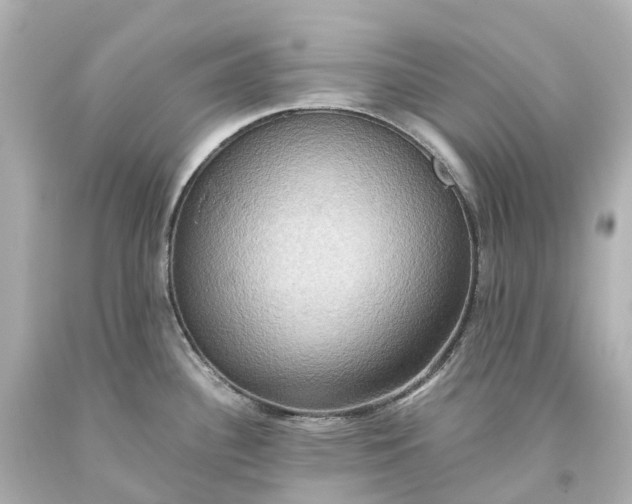 X0000093611340200710291157