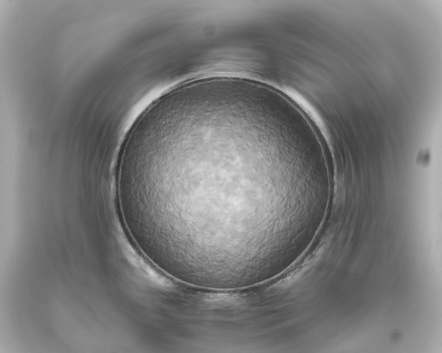 X0000093611341200710291157