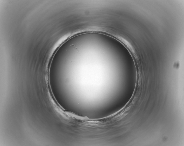 X0000093611342200710291157