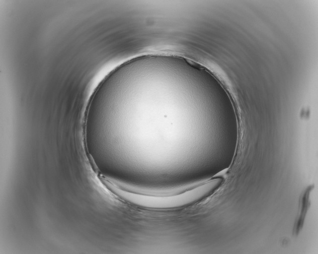 X0000093611344200710291157