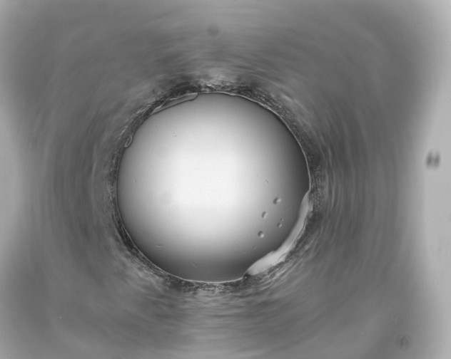X0000093611345200710291156