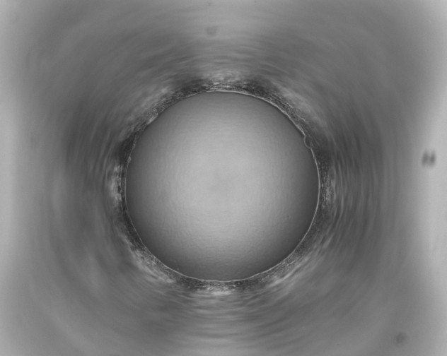 X0000093611346200710291156