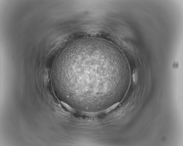 X0000093611347200710291156