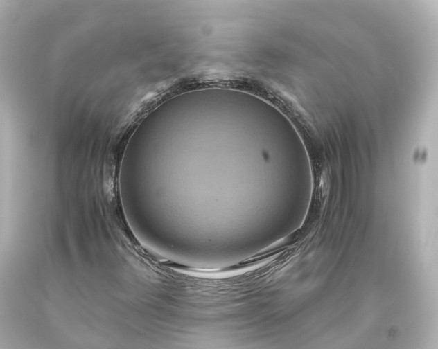 X0000093611348200710291156