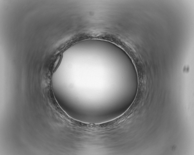 X0000093611349200710291156