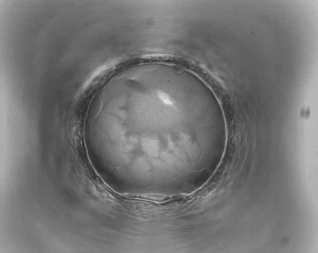 X0000093611351200710291156