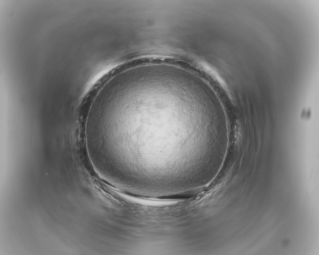 X0000093611352200710291156