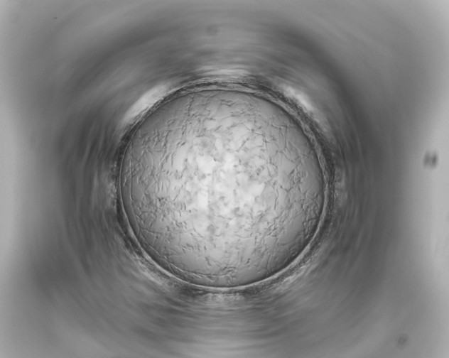 X0000093611354200710291156