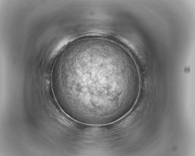 X0000093611355200710291156