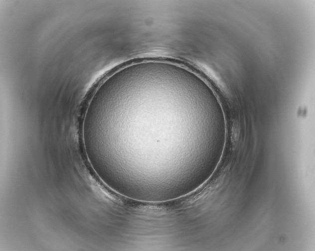 X0000093611356200710291156