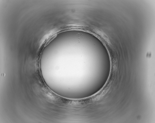 X0000093611357200710291156