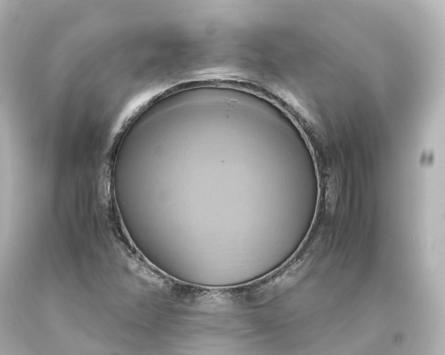 X0000093611358200710291156