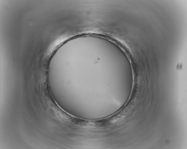 X0000093611359200710291156