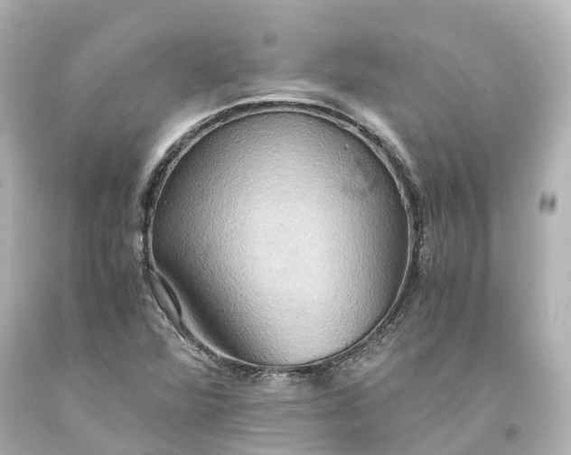 X0000093611360200710291156