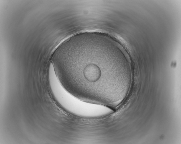 X0000093611361200710291156