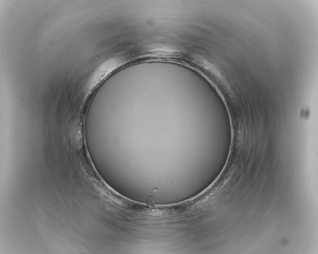 X0000093611362200710291156
