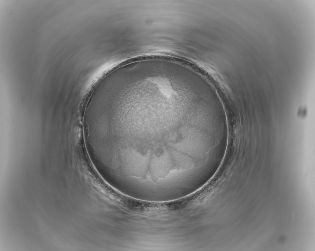 X0000093611363200710291156