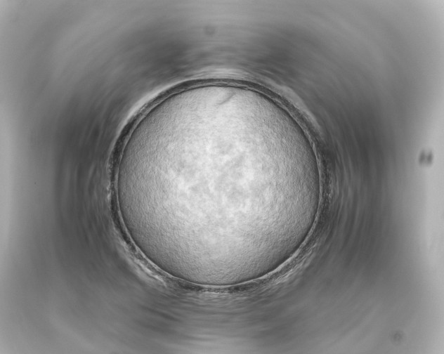 X0000093611364200710291156