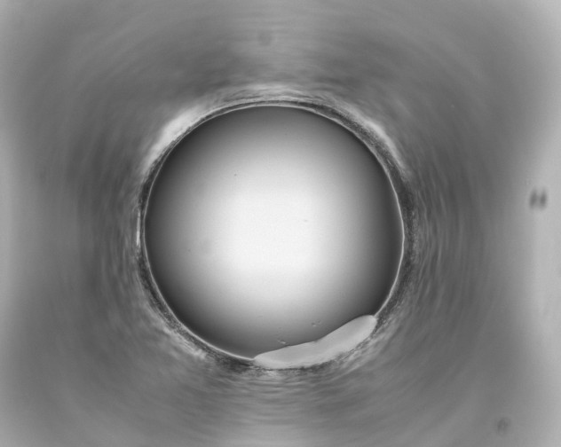 X0000093611365200710291156