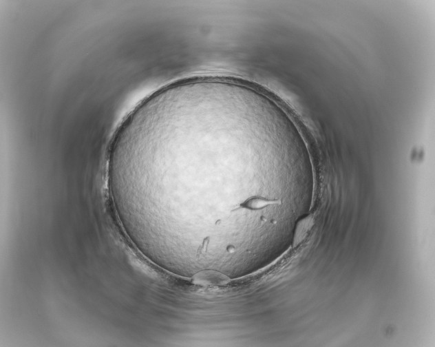 X0000093611366200710291156