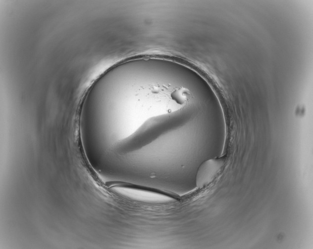 X0000093611367200710291156