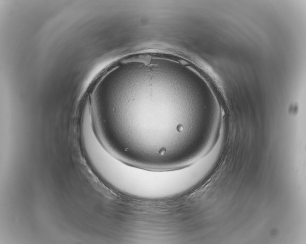 X0000093611368200710291156