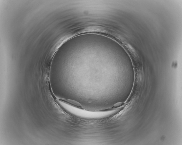 X0000093611369200710291156