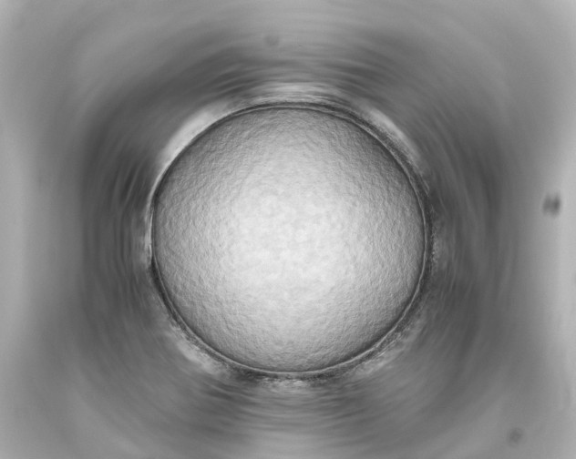 X0000093611370200710291156