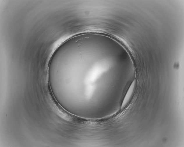 X0000093611371200710291156