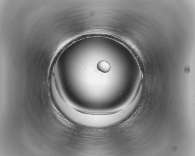 X0000093611372200710291156