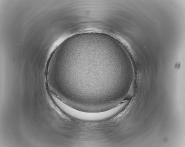 X0000093611373200710291156