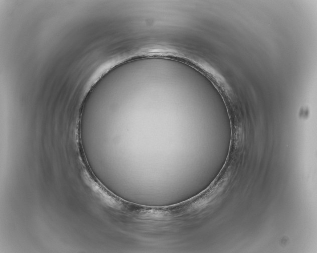 X0000093611374200710291156