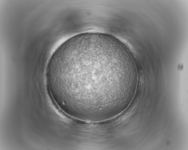 X0000093611375200710291156