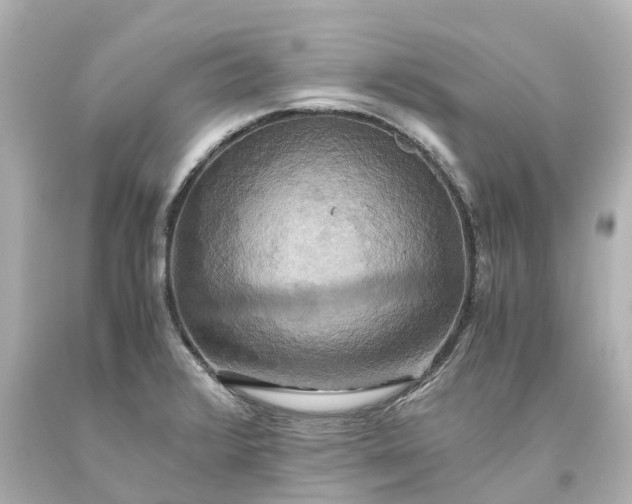 X0000093611376200710291156