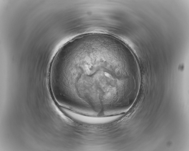 X0000093611379200710291156