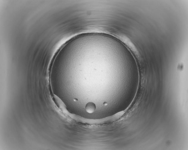 X0000093611380200710291156