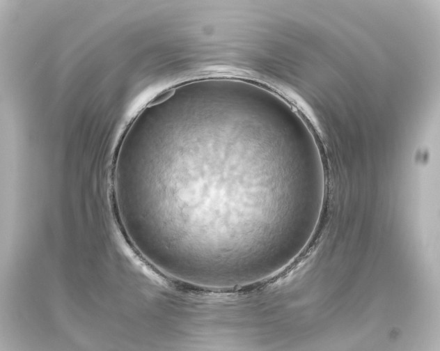 X0000093611381200710291156