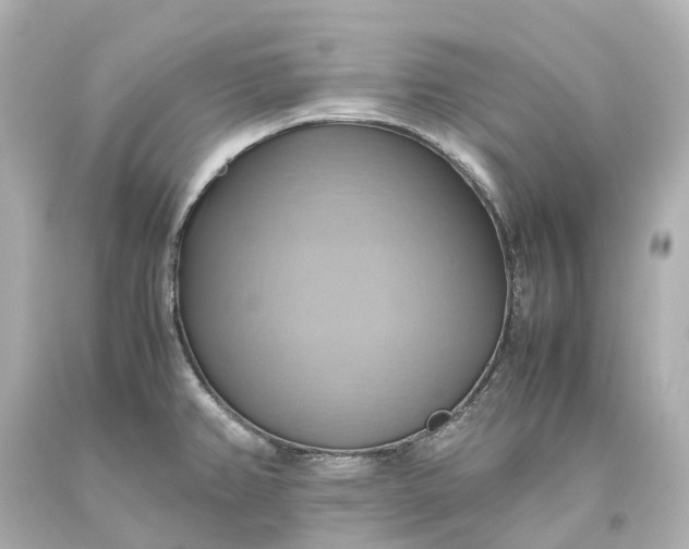 X0000093611382200710291156