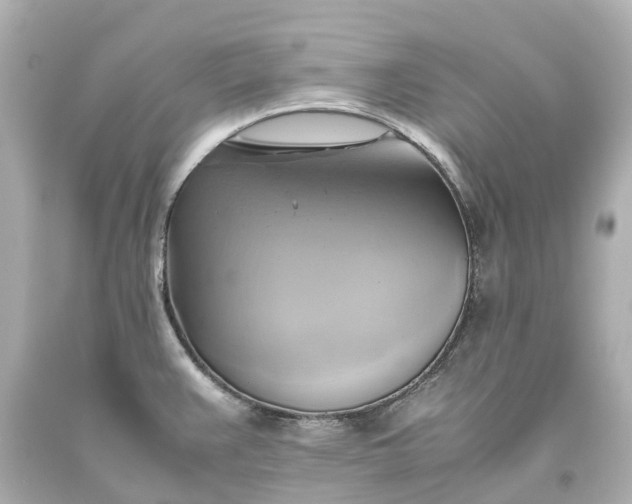 X0000093611383200710291156