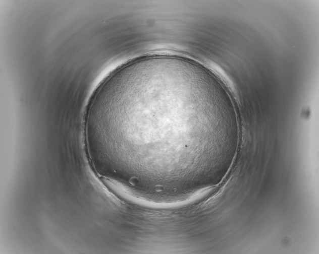 X0000093611384200710291156