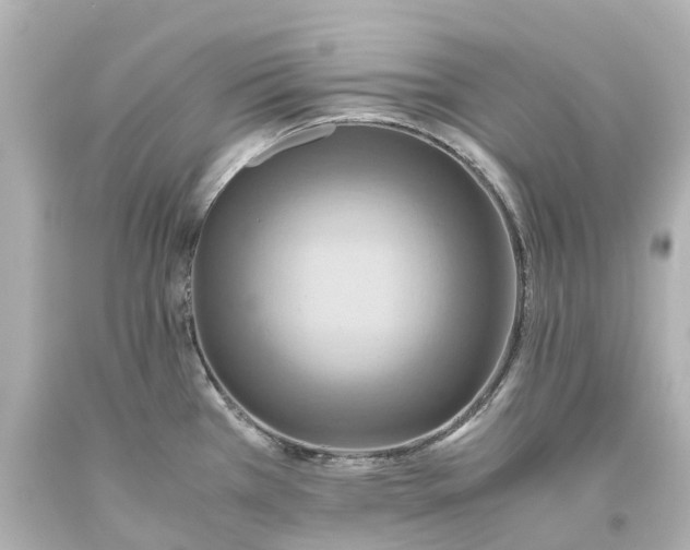 X0000093611385200710291156