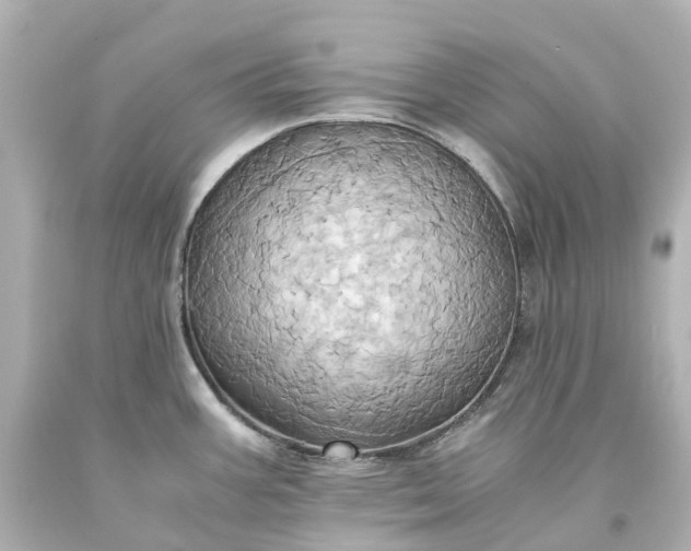 X0000093611387200710291156